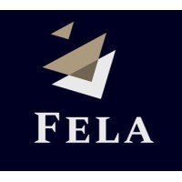 Media Fela logo - Similar company to Solution Labs