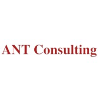 ANT Consulting logo - Similar company to Dap Consultancy