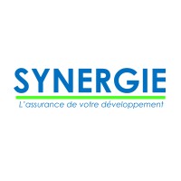 CABINET SYNERGIE logo - Similar company to Nerdtic