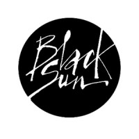 Black Sun Global logo - Similar company to Luminous