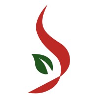 Paloniitty Oy logo - Similar company to Ledimo Oy