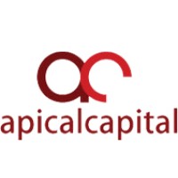 Apical Capital Advisors Private Limited logo - Similar company to Paramount Capital