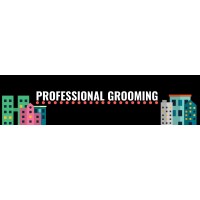 Professional grooming logo - Similar company to Opulent Allied Intelligence Academy