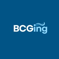 BCG Ingenieria logo - Similar company to Simtable