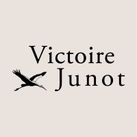 Victoire-Junot logo - Similar company to E-Maprod