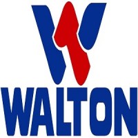 Walton Micro-Tech Corporation Ltd. logo - Similar company to Taminsight