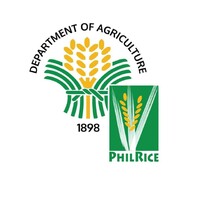 Philippine Rice Research Institute logo - Similar company to Up Information Technology Development Center