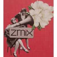 Z Mi̇x