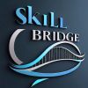 SkillBridge Interns Pvt. Ltd. logo - Similar company to Saisoft Information Technology Consultancy