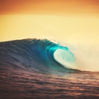 Waimea Consulting