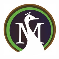 Moreweb Solutions LLP logo - Similar company to Concotech