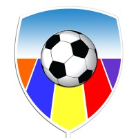Voetbal In De Bollenstreek