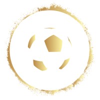 Premier Academy League logo - Similar company to Arcplatforms