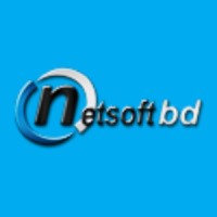 Netsoft Solution Ltd. logo - Similar company to Codevibes Software Solutions