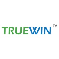 Truewin Technology logo - Similar company to Mesh