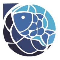 Nisea logo - Similar company to Fondazione Coispa Ets