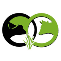 Orinoco Origen logo - Similar company to Ig Consultores