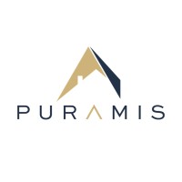 Puramis SA logo - Similar company to Sky Mind