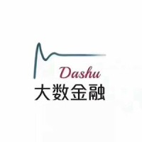 深圳前海大数金融服务有限公司