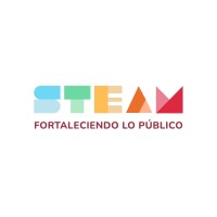 STEAM - Fortaleciendo lo Público logo - Similar company to Ptebi - Polo Tecnológico Y  Empresarial De La Biomasa De  Asturias