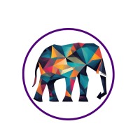 AdRay Digital logo - Similar company to Networkgain Consulting