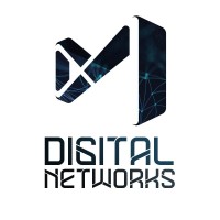 Digital Networks ICT Solutions logo - Similar company to Icode ®