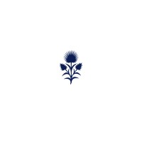 Blue Thistle Transformational Leadership, LLC logo - Similar company to Mind Body Align