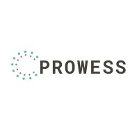 Prowess Digital Transformation logo - Similar company to Midsail Research