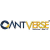 Antverse Programlama Faaliyetleri