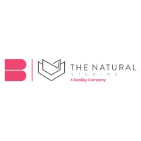 The Natural Studios logo - Similar company to Bear Grylls Ventures