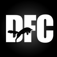Dogfox Consulting logo - Similar company to Larboard