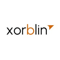Xorblin Digital Pvt. Ltd. logo - Similar company to Chapter Apps Inc