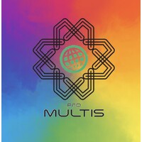 Pro Multis México logo - Similar company to Ju-Young México