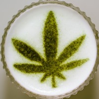 High-minded Events logo - Similar company to Trident Experiential