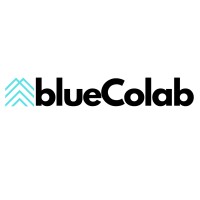 blueColab logo - Similar company to Canxvisa