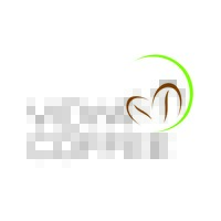 Vidya Global logo - Similar company to Gwp Pty Ltd