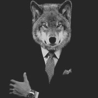 CommissionWolf logo - Similar company to Value Smart Products