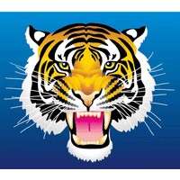 Zhuzhou Ruiyou New Materials Co., Ltd logo - Similar company to Zhuzhou Site Cemented Carbide Co.,Ltd