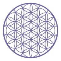 AudioElixir logo - Similar company to Choiceworks