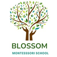 Blossom Montessori School Ottawa logo - Similar company to Luxury Life E-Commerce