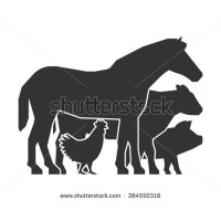 Hodgeville Farming Co Ltd logo - Similar company to Farming