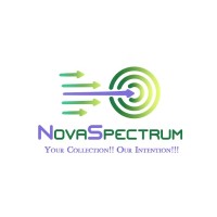 NovaSpectrum Billing Solutions, LLP logo - Similar company to Aura Bpo Services Pvt Ltd