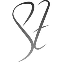 PZ Management Consulting logo - Similar company to Scout Consulting