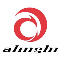 Team Alinghi logo - Similar company to Storm Silverstone