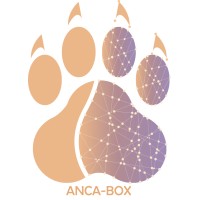 Anca Box logo - Similar company to Cha9A9A.Tn - شقًّاقة