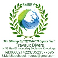 Bio Menage BAQCHAOUI Espace VERT logo - Similar company to Fifa Vert