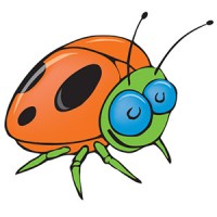 Beadle Bug Patrol