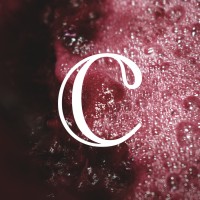 Celestin Coutaud logo - Similar company to Celestin Materiaux
