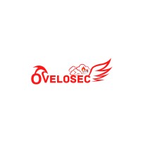 OVELOSEC logo - Similar company to Prime Infoserv Pvt. Ltd.