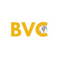 BVC Company logo - Similar company to Solutionstag Consulting Company Limited